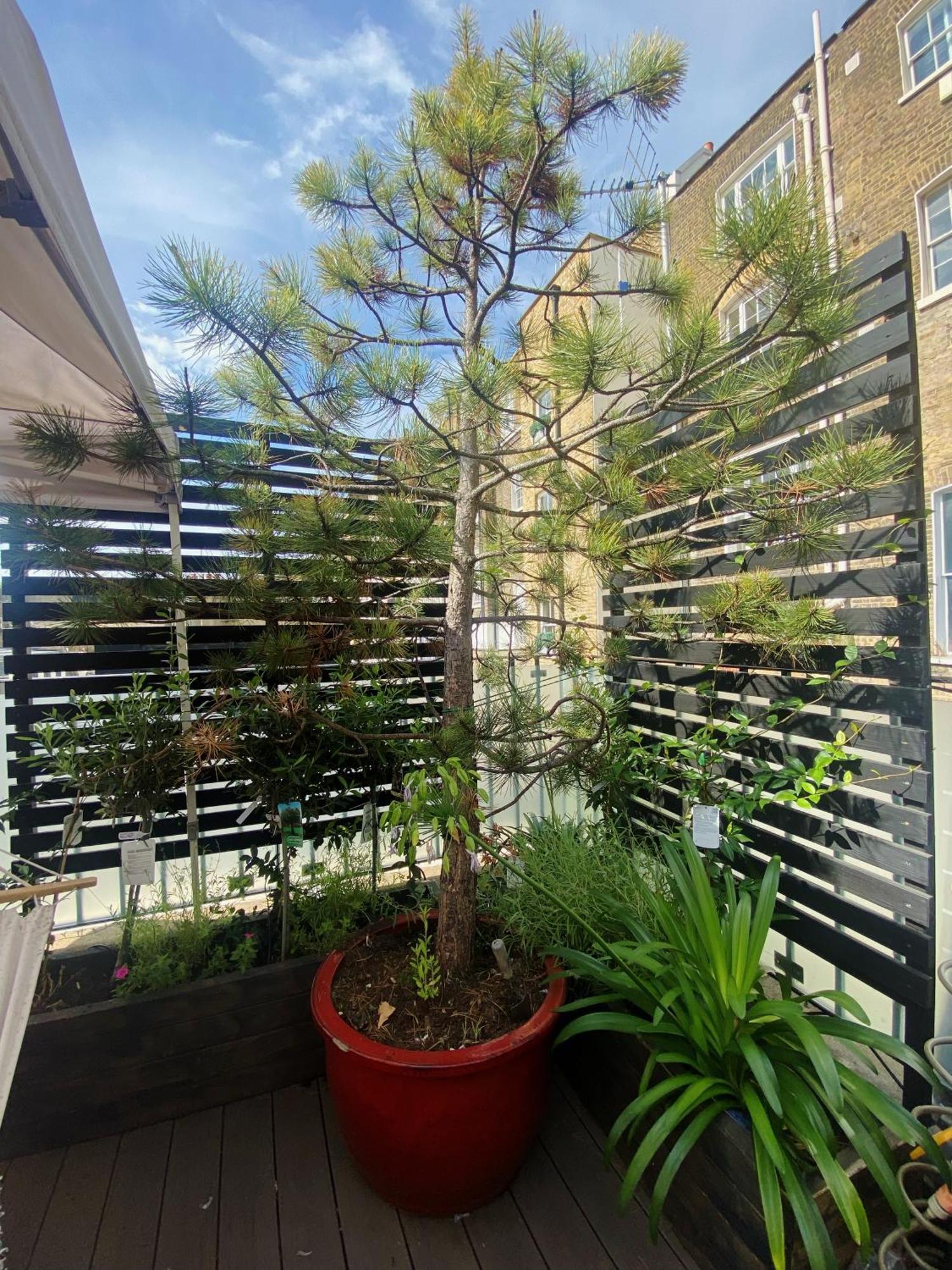 Luxury Belgrave Square Private Mews Townhouse Villa London Luaran gambar